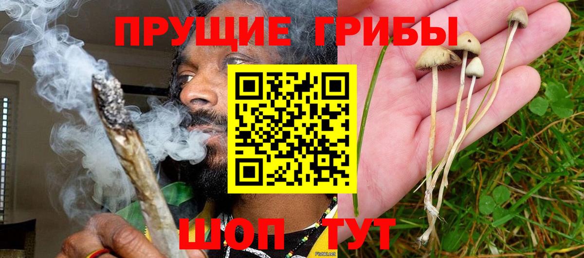 цены наркотик  Галлюциногенные грибы Psilocybine cubensis  Вход с VPN  Кашира 